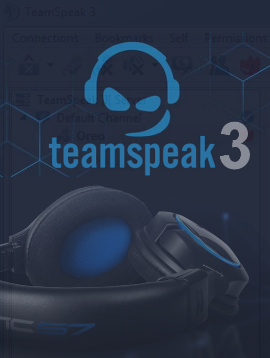 host server The Forest romania